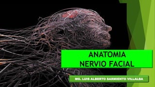 ANATOMIA
NERVIO FACIAL
MG. LUIS ALBERTO SARMIENTO VILLALBA
 