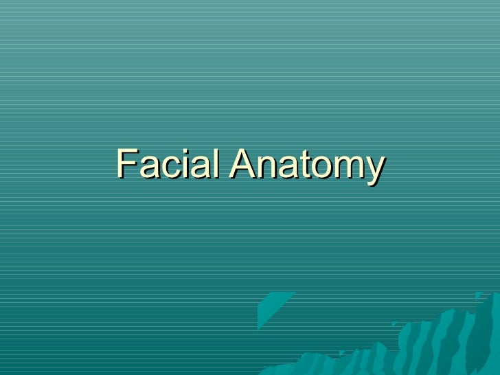 Facial anatomy