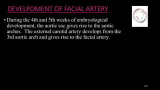 DEVELPOMENT OF FACIAL ARTERY
• During the 4th and 5th weeks of embryological
development, the aortic sac gives rise to the aortic
arches. The external carotid artery develops from the
3rd aortic arch and gives rise to the facial artery.
5/16
 