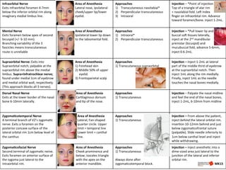 Infraorbital	
  Nerve	
  	
  
Exits	
  infraorbital	
  foramen	
  4-­‐7mm	
  
below	
  the	
  inferior	
  orbital	
  rim	
  along	
  
imaginary	
  medial	
  limbus	
  line.	
  	
  
	
  	
  	
  	
  	
  	
  	
  	
  	
  	
  	
  	
  	
  	
  	
  	
  	
  	
  	
  	
  	
  Area	
  of	
  Anesthesia	
  	
  
	
  	
  	
  	
  	
  	
  	
  	
  	
  	
  	
  	
  	
  	
  	
  	
  	
  	
  	
  	
  	
  Lateral	
  nose,	
  ipsilateral	
  
	
  	
  	
  	
  	
  	
  	
  	
  	
  	
  	
  	
  	
  	
  	
  	
  	
  	
  	
  	
  	
  cheek/upper	
  lip/lower	
  	
  
	
  	
  	
  	
  	
  	
  	
  	
  	
  	
  	
  	
  	
  	
  	
  	
  	
  	
  	
  	
  	
  eyelid.	
  	
  
	
  
Approaches	
  
1)  Transcutaneous	
  nasolabial*	
  
2)  Perpendicular	
  transcutaneous	
  
3)  Intraoral	
  	
  
Injec5on	
  –	
  *Point	
  of	
  injecJon	
  
Top	
  of	
  a	
  triangle	
  of	
  alar	
  rim	
  	
  
+	
  nasolabial	
  fold.	
  LeL	
  Index	
  
ﬁnger	
  on	
  infraorbital	
  rim.	
  Advance	
  
toward	
  foramen/bone.	
  Inject	
  1-­‐2mL.	
  	
  
Mental	
  Nerve	
  
Exits	
  foramen	
  below	
  apex	
  of	
  second	
  
bicuspid	
  (+/-­‐	
  6-­‐10	
  mm).	
  
Branching	
  variability	
  of	
  the	
  3	
  
fascicles	
  means	
  transcutaneous	
  
route	
  is	
  unreliable	
  	
  
	
  	
  	
  	
  	
  	
  	
  	
  	
  	
  	
  	
  	
  	
  	
  	
  	
  	
  	
  	
  	
  Area	
  of	
  Anesthesia	
  
	
  	
  	
  	
  	
  	
  	
  	
  	
  	
  	
  	
  	
  	
  	
  	
  	
  	
  	
  	
  	
  Ipsilateral	
  lower	
  lip	
  down	
  	
  	
  	
  	
  	
  	
  	
  	
  	
  	
  	
  	
  	
  
	
  	
  	
  	
  	
  	
  	
  	
  	
  	
  	
  	
  	
  	
  	
  	
  	
  	
  	
  	
  	
  to	
  the	
  labiomental	
  fold.	
  	
  
Approaches	
  
1)  Intraoral*	
  
2)  Perpendicular	
  transcutaneous	
  	
  
	
  
Injec5on	
  –	
  *Pull	
  lower	
  lip	
  and	
  	
  
buccal	
  soL	
  Jssues	
  laterally,	
  	
  
inject	
  at	
  the	
  2nd	
  mandibular	
  
premolar	
  (bicuspid)	
  and	
  	
  
mucubuccal	
  fold,	
  advance	
  5-­‐6mm,	
  
inject	
  0.6-­‐2mL.	
  	
  
Supraorbital	
  Nerve:	
  Exits	
  into	
  
Supraorbital	
  notch;	
  palpable	
  at	
  the	
  
supraorbital	
  rim	
  above	
  the	
  medial	
  
limbus.	
  Supra+Infratrochlear	
  nerve;	
  
found	
  under	
  medial	
  1cm	
  of	
  eyebrow	
  
and	
  medial	
  orbital	
  wall,	
  respecJvely.	
  
(This	
  approach	
  blocks	
  all	
  3	
  nerves).	
  	
  
	
  	
  	
  	
  	
  	
  	
  	
  	
  	
  	
  	
  	
  	
  	
  	
  	
  	
  	
  	
  	
  Area	
  of	
  Anesthesia	
  
	
  	
  	
  	
  	
  	
  	
  	
  	
  	
  	
  	
  	
  	
  	
  	
  	
  	
  	
  	
  	
  1)	
  Forehead	
  skin	
  
	
  	
  	
  	
  	
  	
  	
  	
  	
  	
  	
  	
  	
  	
  	
  	
  	
  	
  	
  	
  	
  2)	
  Middle	
  50%	
  of	
  upper	
  	
  
	
  	
  	
  	
  	
  	
  	
  	
  	
  	
  	
  	
  	
  	
  	
  	
  	
  	
  	
  	
  	
  	
  	
  	
  	
  	
  eyelid.	
  	
  
	
  	
  	
  	
  	
  	
  	
  	
  	
  	
  	
  	
  	
  	
  	
  	
  	
  	
  	
  	
  	
  3)	
  Frontoparietal	
  scalp	
  
Approaches	
  
1)	
  Transcutaneous	
  supraorbital	
  	
  	
  
Injec5on	
  –	
  Inject	
  1-­‐2mL	
  at	
  lateral	
  
part	
  of	
  the	
  middle	
  third	
  of	
  eyebrow	
  
at	
  the	
  supraorbital	
  notch.	
  Then	
  
inject	
  1mL	
  along	
  the	
  rim	
  medially.	
  
Finally,	
  inject	
  1mL	
  as	
  the	
  needle	
  
touches	
  the	
  nasal	
  bones	
  medially.	
  	
  
Dorsal	
  Nasal	
  Nerve	
  
Exits	
  at	
  the	
  lower	
  border	
  of	
  the	
  nasal	
  
bone	
  6-­‐10mm	
  laterally.	
  	
  
	
  	
  	
  	
  	
  	
  	
  	
  	
  	
  	
  	
  	
  	
  	
  	
  	
  	
  	
  	
  	
  	
  Area	
  of	
  Anesthesia	
  
	
  	
  	
  	
  	
  	
  	
  	
  	
  	
  	
  	
  	
  	
  	
  	
  	
  	
  	
  	
  	
  	
  CarJlaginous	
  dorsum	
  	
  	
  	
  	
  	
  	
  	
  	
  	
  	
  	
  	
  	
  	
  	
  	
  	
  	
  
	
  	
  	
  	
  	
  	
  	
  	
  	
  	
  	
  	
  	
  	
  	
  	
  	
  	
  	
  	
  	
  	
  and	
  Jp	
  of	
  the	
  nose.	
  	
  
Approaches	
  
1)	
  Transcutaneous	
  	
  
Injec5on	
  –	
  Palpate	
  the	
  nasal	
  midline	
  
and	
  feel	
  the	
  end	
  of	
  the	
  nasal	
  bones,	
  
inject	
  1-­‐2mL,	
  6-­‐10mm	
  from	
  midline	
  	
  
Zygoma5cotemporal	
  Nerve	
  
A	
  terminal	
  branch	
  of	
  V2’s	
  zygomaJc	
  
nerve.	
  Exits	
  a	
  foramen	
  on	
  the	
  
posterior	
  concave	
  surface	
  of	
  the	
  
lateral	
  orbital	
  rim	
  1cm	
  below	
  level	
  of	
  
the	
  canthus	
  
	
  	
  	
  	
  	
  	
  	
  	
  	
  	
  	
  	
  	
  	
  	
  	
  	
  	
  	
  	
  	
  	
  	
  	
  Area	
  of	
  Anesthesia	
  	
  
	
  	
  	
  	
  	
  	
  	
  	
  	
  	
  	
  	
  	
  	
  	
  	
  	
  	
  	
  	
  	
  	
  	
  	
  Lateral,	
  Fan-­‐shaped	
  	
  
	
  	
  	
  	
  	
  	
  	
  	
  	
  	
  	
  	
  	
  	
  	
  	
  	
  	
  	
  	
  	
  	
  	
  	
  quarter	
  circle.	
  Upper	
  	
  
	
  	
  	
  	
  	
  	
  	
  	
  	
  	
  	
  	
  	
  	
  	
  	
  	
  	
  	
  	
  	
  	
  	
  	
  limit	
  =	
  temporal	
  line	
  
	
  	
  	
  	
  	
  	
  	
  	
  	
  	
  	
  	
  	
  	
  	
  	
  	
  	
  	
  	
  	
  	
  	
  	
  Lower	
  limit	
  =	
  canthal	
  	
  
	
  	
  	
  	
  	
  	
  	
  	
  	
  	
  	
  	
  	
  	
  	
  	
  	
  	
  	
  	
  	
  	
  	
  	
  line.	
  	
  
Approaches	
  	
  
1)	
  Transcutaneous	
  	
  
Injec5on	
  –	
  From	
  above	
  the	
  paJent,	
  
inject	
  behind	
  the	
  lateral	
  orbital	
  rim.	
  
inserJon	
  10-­‐12mm	
  behind	
  and	
  just	
  
below	
  zygomaJcofrontal	
  suture	
  
(palpable).	
  Slide	
  needle	
  inferiorly	
  to	
  
1cm	
  below	
  canthal	
  level	
  and	
  inject	
  
while	
  withdrawing.	
  	
  
Zygoma5cofacial	
  Nerve	
  
Second	
  terminal	
  of	
  zygomaJc	
  nerve.	
  
Exits	
  foramen	
  on	
  anterior	
  surface	
  of	
  
the	
  zygoma	
  just	
  lateral	
  to	
  the	
  
intraorbital	
  rim.	
  	
  
	
  	
  	
  	
  	
  	
  	
  	
  	
  	
  	
  	
  	
  	
  	
  	
  	
  	
  	
  	
  	
  	
  Area	
  of	
  Anesthesia	
  
	
  	
  	
  	
  	
  	
  	
  	
  	
  	
  	
  	
  	
  	
  	
  	
  	
  	
  	
  	
  	
  	
  Cheek	
  prominence	
  and	
  	
  	
  	
  	
  	
  	
  	
  	
  	
  	
  	
  	
  	
  	
  	
  	
  	
  
	
  	
  	
  	
  	
  	
  	
  	
  	
  	
  	
  	
  	
  	
  	
  	
  	
  	
  	
  	
  	
  	
  below;	
  isoceles	
  triangle	
  
	
  	
  	
  	
  	
  	
  	
  	
  	
  	
  	
  	
  	
  	
  	
  	
  	
  	
  	
  	
  	
  	
  with	
  the	
  apex	
  on	
  the	
  	
  
	
  	
  	
  	
  	
  	
  	
  	
  	
  	
  	
  	
  	
  	
  	
  	
  	
  	
  	
  	
  	
  	
  anterior	
  mandible.	
  	
  	
  
Approaches	
  
1)	
  Transcutaneous	
  	
  
	
  
Always	
  done	
  aLer	
  
zygomaJcotemporal	
  block.	
  	
  
Injec5on	
  –	
  Inject	
  anestheJc	
  into	
  a	
  
dime-­‐sized	
  area	
  just	
  lateral	
  to	
  the	
  
juncJon	
  of	
  the	
  lateral	
  and	
  inferior	
  
orbital	
  rim.	
  	
  
	
  	
  	
  	
  	
  	
  	
  	
  	
  	
  	
  	
  	
  	
  	
  	
  	
  	
  	
  	
  	
  	
  	
  	
  	
  	
  	
  	
  	
  	
  	
  	
  	
  	
  	
  	
  	
  	
  	
  	
  	
  	
  	
  	
  	
  	
  	
  	
  	
  	
  	
  	
  	
  	
  	
  MK15	
  
 