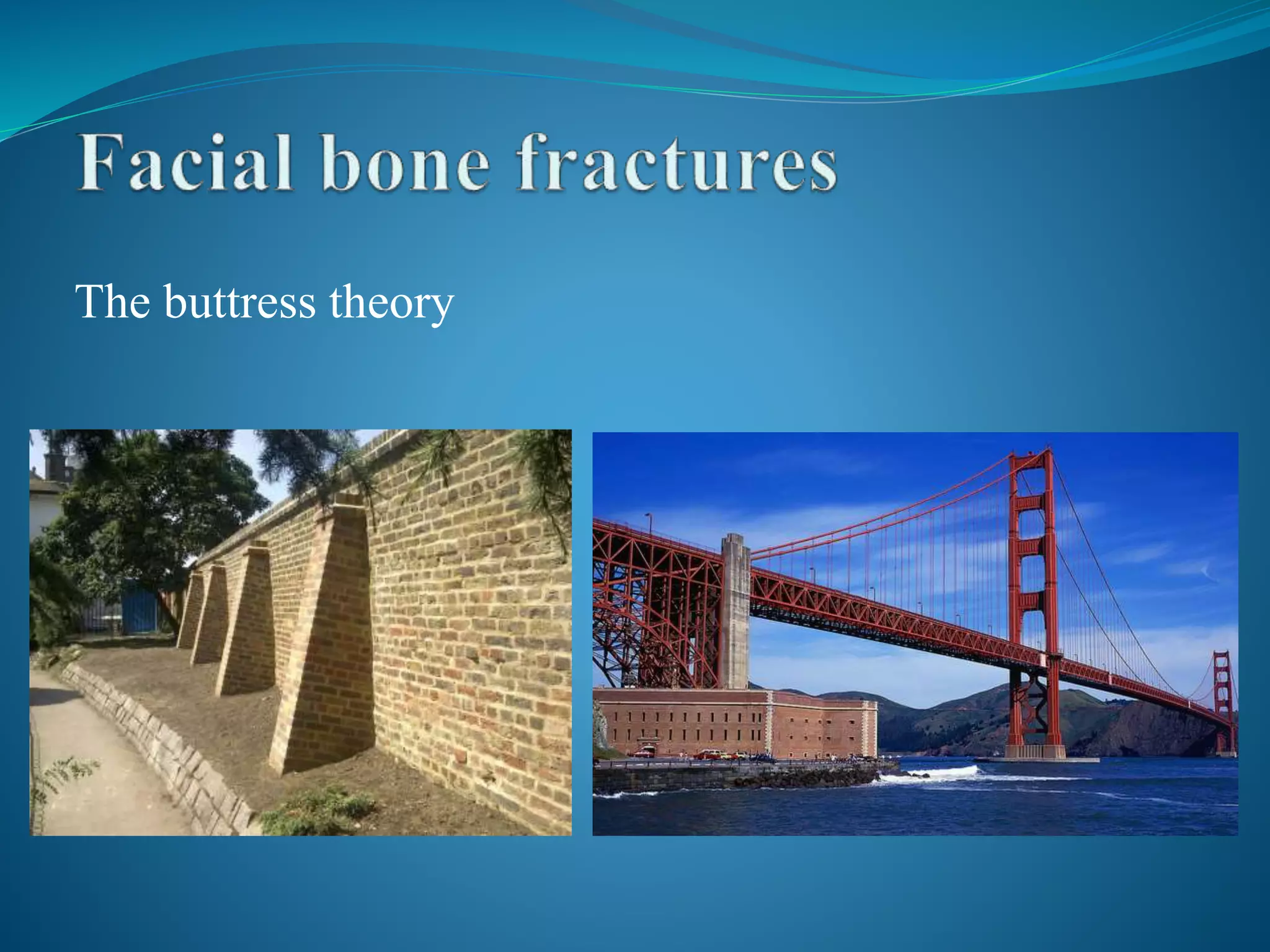 The buttress theory
 