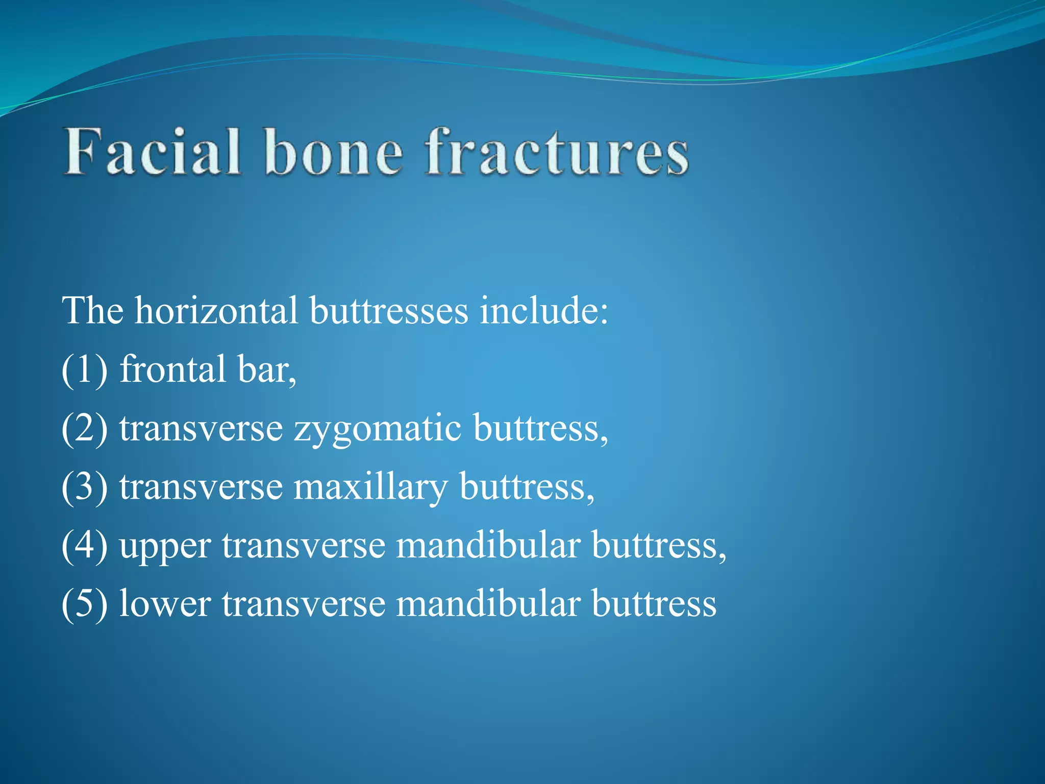 The horizontal buttresses include:
(1) frontal bar,
(2) transverse zygomatic buttress,
(3) transverse maxillary buttress,
(4) upper transverse mandibular buttress,
(5) lower transverse mandibular buttress
 
