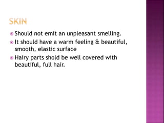  Should not emit an unpleasant smelling.
 It should have a warm feeling & beautiful,
smooth, elastic surface
 Hairy parts shold be well covered with
beautiful, full hair.
 