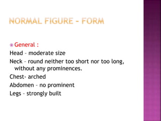  General :
Head – moderate size
Neck – round neither too short nor too long,
without any prominences.
Chest- arched
Abdomen – no prominent
Legs – strongly built
 