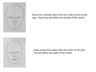 The mouth is centered halfway between the bottom of the nose and the bottom of the chin.
