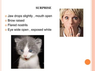 SURPRISE
 Jaw drops slightly , mouth open
 Brow raised
 Flared nostrils
 Eye wide open , exposed white
 