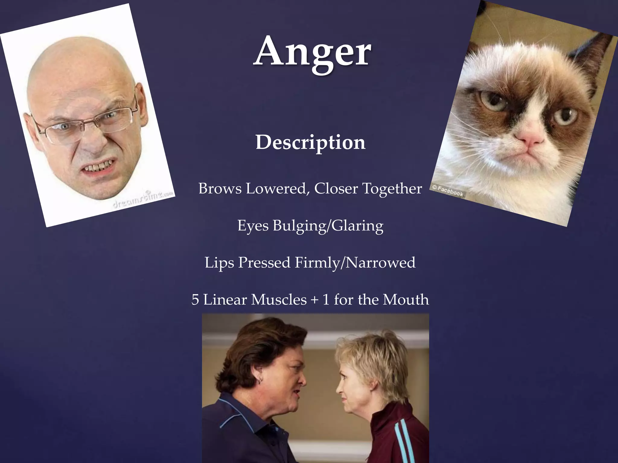 Anger
Description
Brows Lowered, Closer Together
Eyes Bulging/Glaring
Lips Pressed Firmly/Narrowed
5 Linear Muscles + 1 for the Mouth
 