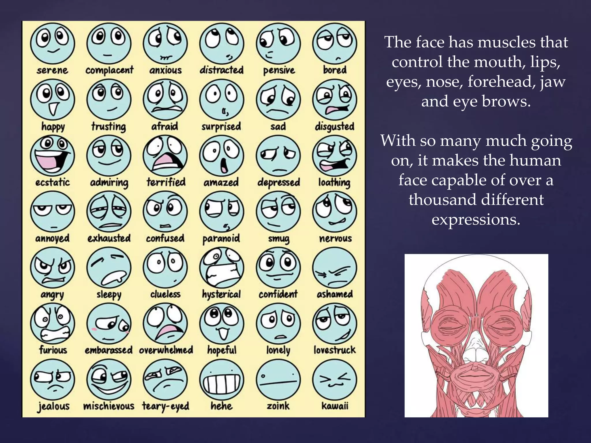 The face has muscles that
control the mouth, lips,
eyes, nose, forehead, jaw
and eye brows.
With so many much going
on, it makes the human
face capable of over a
thousand different
expressions.
 