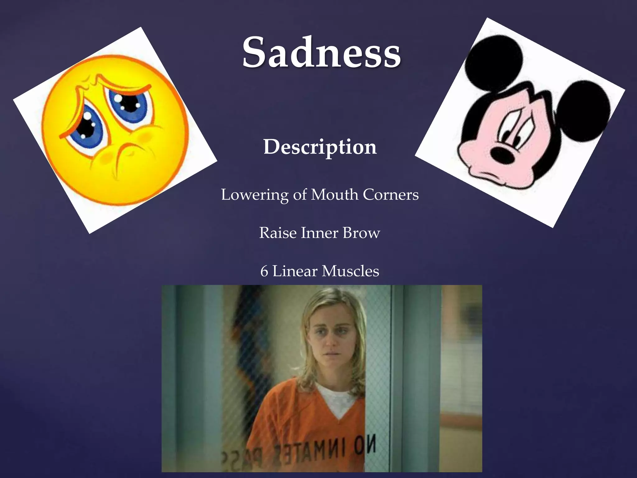 Sadness
Description
Lowering of Mouth Corners
Raise Inner Brow
6 Linear Muscles
 