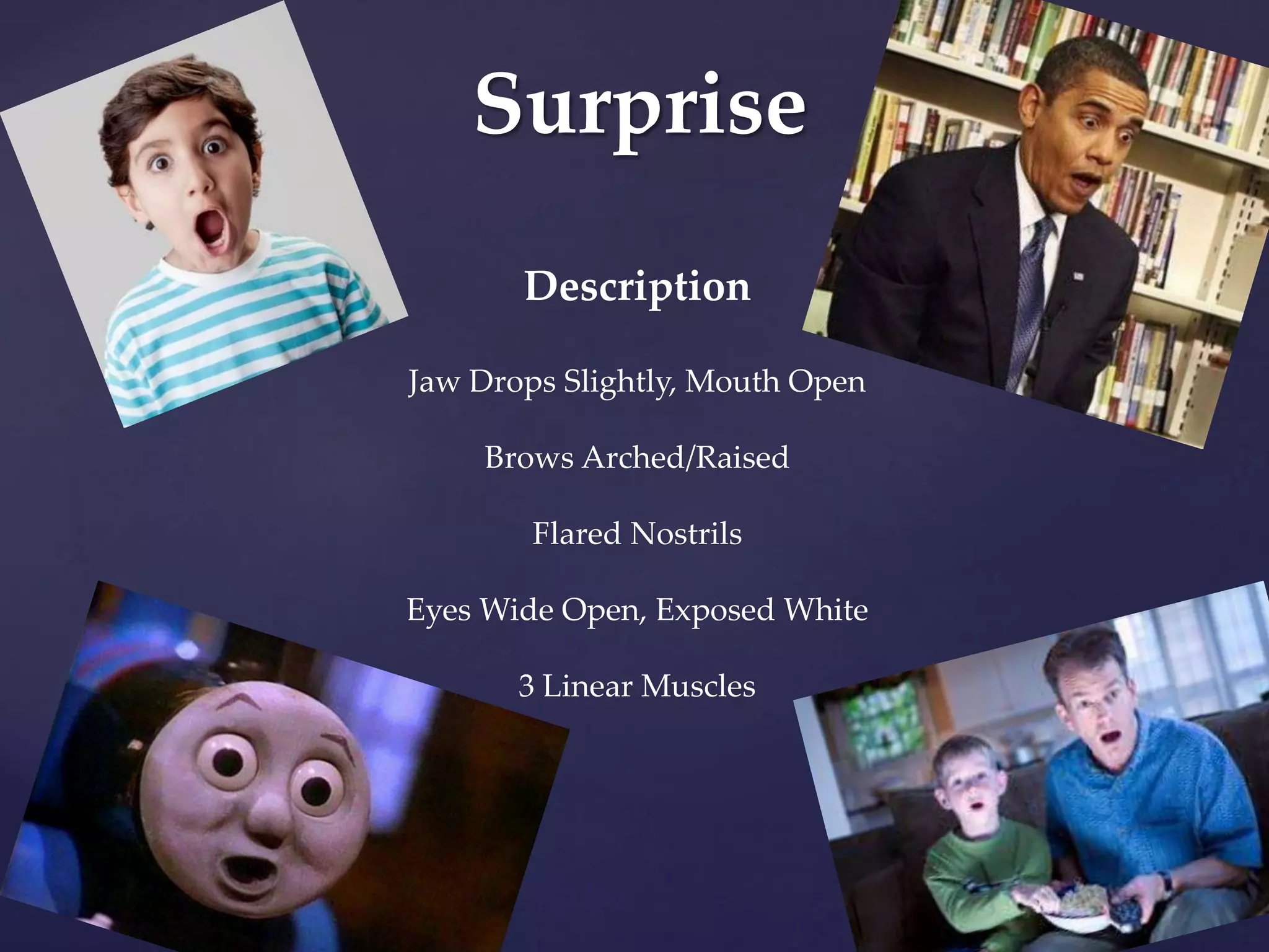 Surprise
Description
Jaw Drops Slightly, Mouth Open
Brows Arched/Raised
Flared Nostrils
Eyes Wide Open, Exposed White
3 Linear Muscles
 