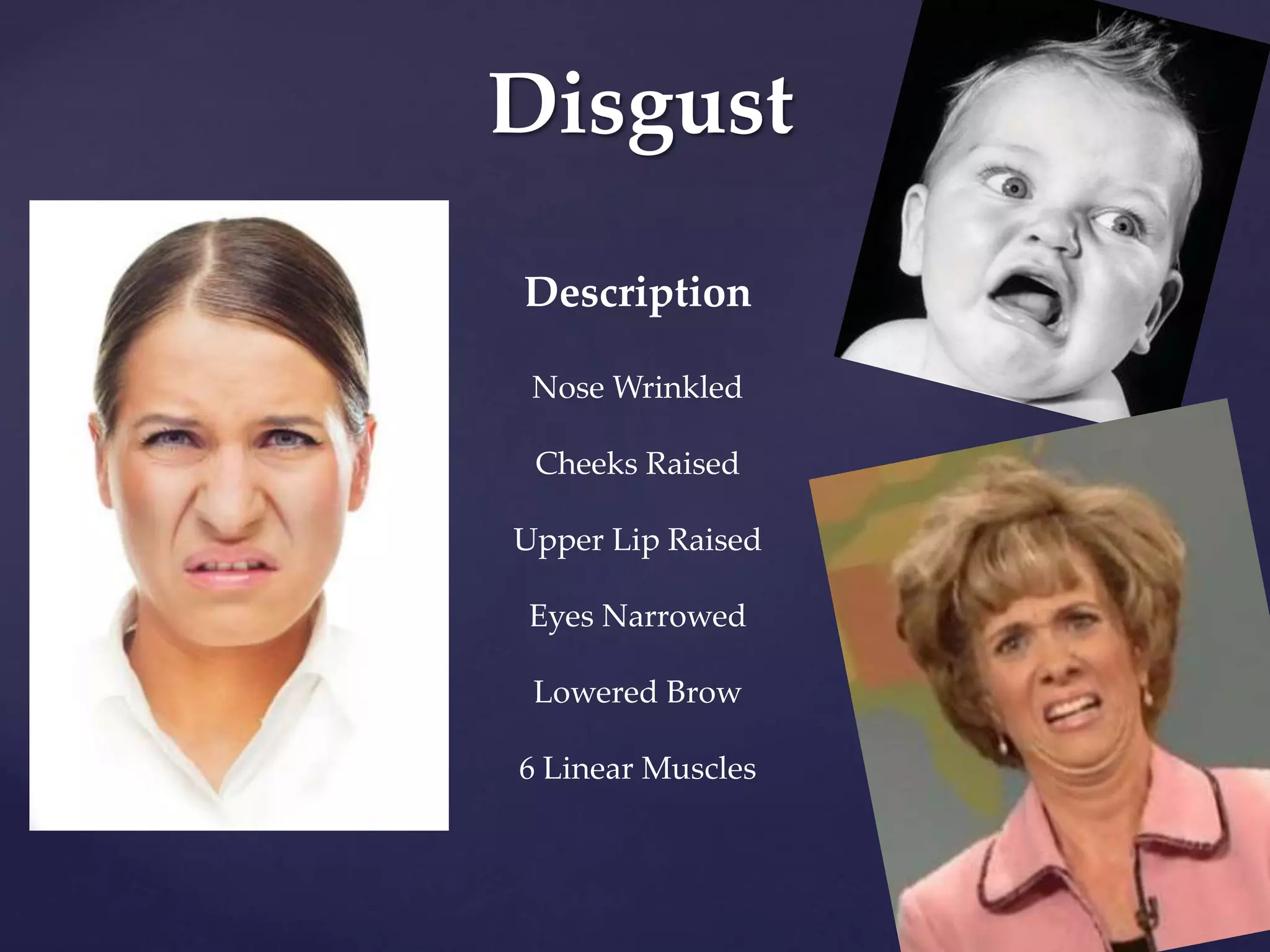 Disgust
Description
Nose Wrinkled
Cheeks Raised
Upper Lip Raised
Eyes Narrowed
Lowered Brow
6 Linear Muscles
 