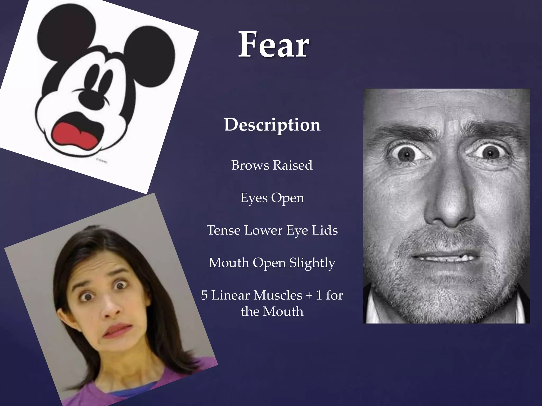 Fear
Description
Brows Raised
Eyes Open
Tense Lower Eye Lids
Mouth Open Slightly
5 Linear Muscles + 1 for
the Mouth
 