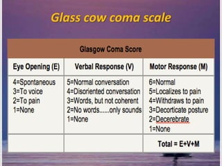 Glass cow coma scale
 