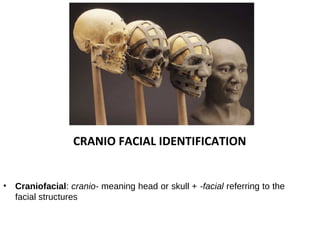CRANIO FACIAL IDENTIFICATION
• Craniofacial: cranio- meaning head or skull + -facial referring to the
facial structures
 