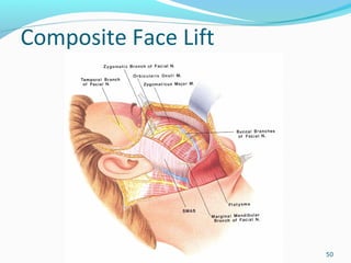 Composite Face Lift
50
 