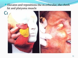 Composite Face Lift
51
Elevates and repositions the m.orbicular, the cheek
fat and platysma muscle
 