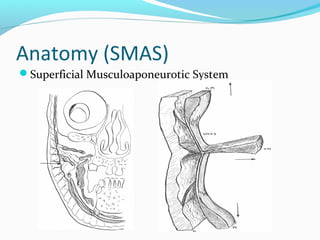 Anatomy (SMAS)
Superficial Musculoaponeurotic System
 