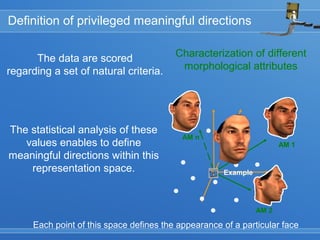 Example
AM 1
AM 2
AM n
Definition of privileged meaningful directions
Each point of this space defines the appearance of a particular face
Characterization of different
morphological attributes
The data are scored
regarding a set of natural criteria.
The statistical analysis of these
values enables to define
meaningful directions within this
representation space.
 