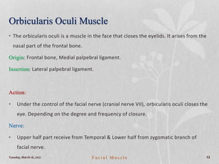 Orbicularis Oculi Muscle
• The orbicularis oculi is a muscle in the face that closes the eyelids. It arises from the
nasal part of the frontal bone.
Origin: Frontal bone, Medial palpebral ligament.
Insertion: Lateral palpebral ligament.
Action:
• Under the control of the facial nerve (cranial nerve VII), orbicularis oculi closes the
eye. Depending on the degree and frequency of closure.
Nerve:
• Upper half part receive from Temporal & Lower half from zygomatic branch of
facial nerve.
Tuesday, March 16, 2021 F a c i a l M u s c l e 12
 