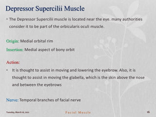 Depressor Supercilii Muscle
• The Depressor Supercilii muscle is located near the eye. many authorities
consider it to be part of the orbicularis oculi muscle.
Origin: Medial orbital rim
Insertion: Medial aspect of bony orbit
Action:
• It is thought to assist in moving and lowering the eyebrow. Also, it is
thought to assist in moving the glabella, which is the skin above the nose
and between the eyebrows
Nerve: Temporal branches of facial nerve
Tuesday, March 16, 2021 F a c i a l M u s c l e 16
 