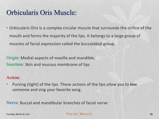 Tuesday, March 16, 2021 F a c i a l M u s c l e 19
Orbicularis Oris Muscle:
• Orbicularis Oris is a complex circular muscle that surrounds the orifice of the
mouth and forms the majority of the lips. It belongs to a large group of
muscles of facial expression called the buccolabial group.
Origin: Medial aspects of maxilla and mandible.
Insertion: Skin and mucous membrane of lips
Action:
• Pursing (tight) of the lips. These actions of the lips allow you to kiss
someone and sing your favorite song.
Nerve: Buccal and mandibular branches of facial nerve
 