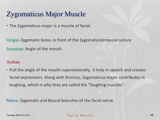 Zygomaticus Major Muscle
• The Zygomaticus major is a muscle of facial.
Origin: Zygomatic bone, in front of the Zygomaticotemporal suture
Insertion: Angle of the mouth.
Action:
• Pull the angle of the mouth superolaterally, it help in speech and creates
facial expressions. Along with Risorius, Zygomaticus major contributes in
laughing, which is why they are called the “laughing muscles”.
Nerve: Zygomatic and Buccal branches of the facial nerve.
Tuesday, March 16, 2021 F a c i a l M u s c l e 26
 