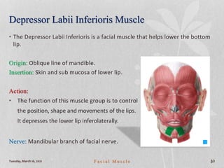 Depressor Labii Inferioris Muscle
• The Depressor Labii Inferioris is a facial muscle that helps lower the bottom
lip.
Origin: Oblique line of mandible.
Insertion: Skin and sub mucosa of lower lip.
Action:
• The function of this muscle group is to control
the position, shape and movements of the lips.
It depresses the lower lip inferolaterally.
Nerve: Mandibular branch of facial nerve.
Tuesday, March 16, 2021 F a c i a l M u s c l e 32
 