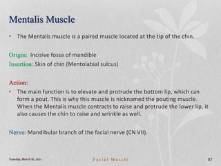 Mentalis Muscle
• The Mentalis muscle is a paired muscle located at the tip of the chin.
Origin: Incisive fossa of mandible
Insertion: Skin of chin (Mentolabial sulcus)
Action:
• The main function is to elevate and protrude the bottom lip, which can
form a pout. This is why this muscle is nicknamed the pouting muscle.
When the Mentalis muscle contracts to raise and protrude the lower lip, it
also causes the chin to raise and wrinkle as well.
Nerve: Mandibular branch of the facial nerve (CN VII).
Tuesday, March 16, 2021 F a c i a l M u s c l e 37
 