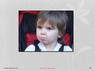 Tuesday, March 16, 2021 F a c i a l M u s c l e 38
 