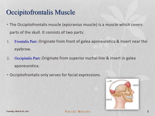 Occipitofrontalis Muscle
• The Occipitofrontalis muscle (epicranius muscle) is a muscle which covers
parts of the skull. It consists of two parts:
1. Frontalis Part: Originate from front of galea aponeurotica & Insert near the
eyebrow.
2. Occipitalis Part: Originate from superior nuchal line & Insert in galea
aponeurotica.
• Occipitofrontalis only serves for facial expressions.
Tuesday, March 16, 2021 F a c i a l M u s c l e 5
 