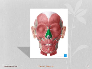 Tuesday, March 16, 2021 F a c i a l M u s c l e 9
 