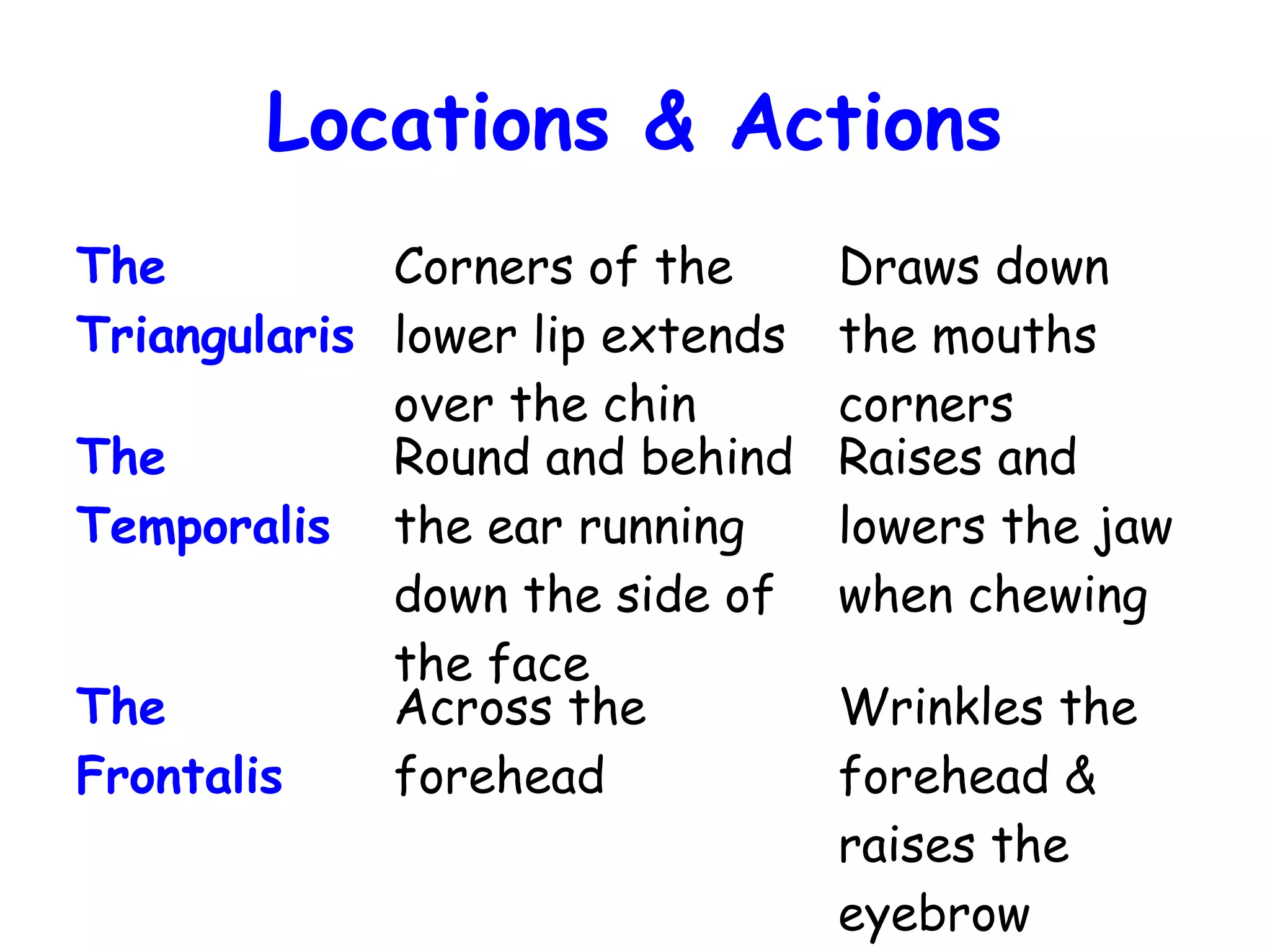 Facial muscles | PPT
