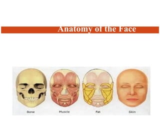 clinical anatomy of facial muscles.pptx