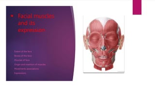  Facial muscles
and its
expression
• Extent of the face
• Bones of the face
• Muscles of face
• Origin and insertion of muscles
• Movements associations
• Expressions
 