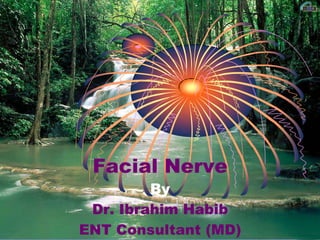 Facial Nerve By Dr. Ibrahim Habib ENT Consultant (MD) 