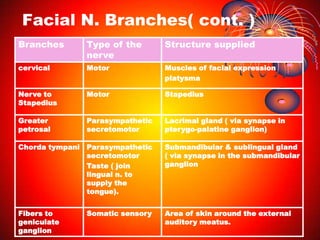 Facial N. Branches( cont. )<br />