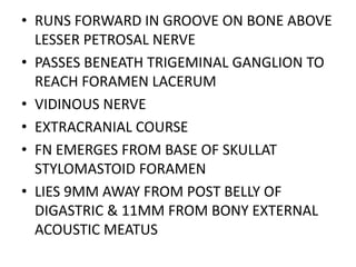 • RUNS FORWARD IN GROOVE ON BONE ABOVE
LESSER PETROSAL NERVE
• PASSES BENEATH TRIGEMINAL GANGLION TO
REACH FORAMEN LACERUM
• VIDINOUS NERVE
• EXTRACRANIAL COURSE
• FN EMERGES FROM BASE OF SKULLAT
STYLOMASTOID FORAMEN
• LIES 9MM AWAY FROM POST BELLY OF
DIGASTRIC & 11MM FROM BONY EXTERNAL
ACOUSTIC MEATUS
 