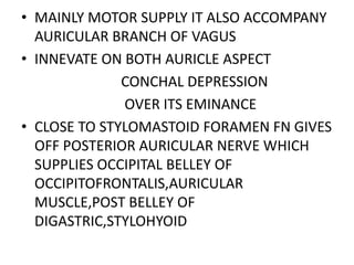 • MAINLY MOTOR SUPPLY IT ALSO ACCOMPANY
AURICULAR BRANCH OF VAGUS
• INNEVATE ON BOTH AURICLE ASPECT
CONCHAL DEPRESSION
OVER ITS EMINANCE
• CLOSE TO STYLOMASTOID FORAMEN FN GIVES
OFF POSTERIOR AURICULAR NERVE WHICH
SUPPLIES OCCIPITAL BELLEY OF
OCCIPITOFRONTALIS,AURICULAR
MUSCLE,POST BELLEY OF
DIGASTRIC,STYLOHYOID
 
