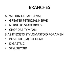 BRANCHES
A. WITHIN FACIAL CANAL
• GREATER PETROSAL NERVE
• NERVE TO STAPEDIOUS
• CHORDAE TYMPANI
B.AS IT EXISTS STYLOMASTOID FORAMEN
• POSTERIOR AURICULAR
• DIGASTRIC
• STYLOHYOID
 