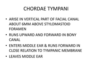 CHORDAE TYMPANI
• ARISE IN VERTICAL PART OF FACIAL CANAL
ABOUT 6MM ABOVE STYLOMASTOID
FORAMEN
• RUNS UPWARD AND FORWARD IN BONY
CANAL
• ENTERS MIDDLE EAR & RUNS FORWARD IN
CLOSE RELATION TO TYMPANIC MEMBRANE
• LEAVES MIDDLE EAR
 