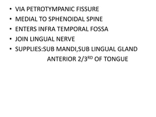 • VIA PETROTYMPANIC FISSURE
• MEDIAL TO SPHENOIDAL SPINE
• ENTERS INFRA TEMPORAL FOSSA
• JOIN LINGUAL NERVE
• SUPPLIES:SUB MANDI,SUB LINGUAL GLAND
ANTERIOR 2/3RD OF TONGUE
 