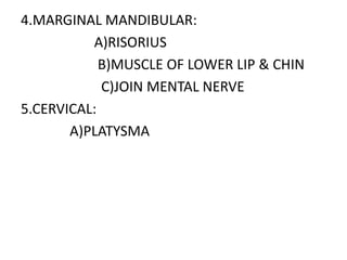 4.MARGINAL MANDIBULAR:
A)RISORIUS
B)MUSCLE OF LOWER LIP & CHIN
C)JOIN MENTAL NERVE
5.CERVICAL:
A)PLATYSMA
 