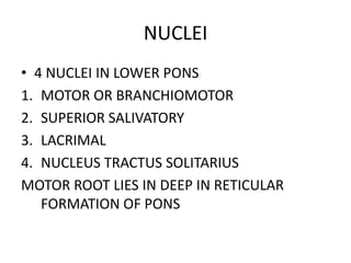 NUCLEI
• 4 NUCLEI IN LOWER PONS
1. MOTOR OR BRANCHIOMOTOR
2. SUPERIOR SALIVATORY
3. LACRIMAL
4. NUCLEUS TRACTUS SOLITARIUS
MOTOR ROOT LIES IN DEEP IN RETICULAR
FORMATION OF PONS
 