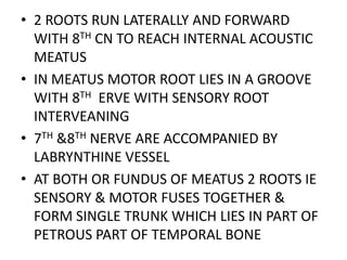 • 2 ROOTS RUN LATERALLY AND FORWARD
WITH 8TH CN TO REACH INTERNAL ACOUSTIC
MEATUS
• IN MEATUS MOTOR ROOT LIES IN A GROOVE
WITH 8TH ERVE WITH SENSORY ROOT
INTERVEANING
• 7TH &8TH NERVE ARE ACCOMPANIED BY
LABRYNTHINE VESSEL
• AT BOTH OR FUNDUS OF MEATUS 2 ROOTS IE
SENSORY & MOTOR FUSES TOGETHER &
FORM SINGLE TRUNK WHICH LIES IN PART OF
PETROUS PART OF TEMPORAL BONE
 
