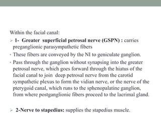 Within the facial canal:
 1- Greater superficial petrosal nerve (GSPN) : carries
preganglionic parasympathetic fibers
• These fibers are conveyed by the NI to geniculate ganglion.
• Pass through the ganglion without synapsing into the greater
petrosal nerve, which goes forward through the hiatus of the
facial canal to join deep petrosal nerve from the carotid
sympathetic plexus to form the vidian nerve, or the nerve of the
pterygoid canal, which runs to the sphenopalatine ganglion,
from where postganglionic fibers proceed to the lacrimal gland.
 2-Nerve to stapedius: supplies the stapedius muscle.
 