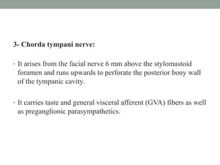 3- Chorda tympani nerve:
• It arises from the facial nerve 6 mm above the stylomastoid
foramen and runs upwards to perforate the posterior bony wall
of the tympanic cavity.
• It carries taste and general visceral afferent (GVA) fibers as well
as preganglionic parasympathetics.
 