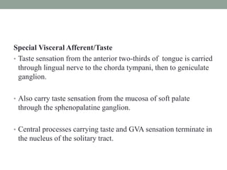 Special Visceral Afferent/Taste
• Taste sensation from the anterior two-thirds of tongue is carried
through lingual nerve to the chorda tympani, then to geniculate
ganglion.
• Also carry taste sensation from the mucosa of soft palate
through the sphenopalatine ganglion.
• Central processes carrying taste and GVA sensation terminate in
the nucleus of the solitary tract.
 