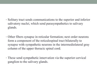 • Solitary tract sends communications to the superior and inferior
salivatory nuclei, which send parasympathetics to salivary
glands.
• Other fibers synapse in reticular formation; next order neurons
form a component of the reticulospinal tract bilaterally to
synapse with sympathetic neurons in the intermediolateral gray
column of the upper thoracic spinal cord.
• These send sympathetic innervation via the superior cervical
ganglion to the salivary glands.
 