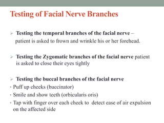 Testing of Facial Nerve Branches
 Testing the temporal branches of the facial nerve –
patient is asked to frown and wrinkle his or her forehead.
 Testing the Zygomatic branches of the facial nerve patient
is asked to close their eyes tightly
 Testing the buccal branches of the facial nerve
• Puff up cheeks (buccinator)
• Smile and show teeth (orbicularis oris)
• Tap with finger over each cheek to detect ease of air expulsion
on the affected side
 