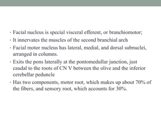 • Facial nucleus is special visceral efferent, or branchiomotor;
• It innervates the muscles of the second branchial arch
• Facial motor nucleus has lateral, medial, and dorsal subnuclei,
arranged in columns.
• Exits the pons laterally at the pontomedullar junction, just
caudal to the roots of CN V between the olive and the inferior
cerebellar peduncle
• Has two components, motor root, which makes up about 70% of
the fibers, and sensory root, which accounts for 30%.
 